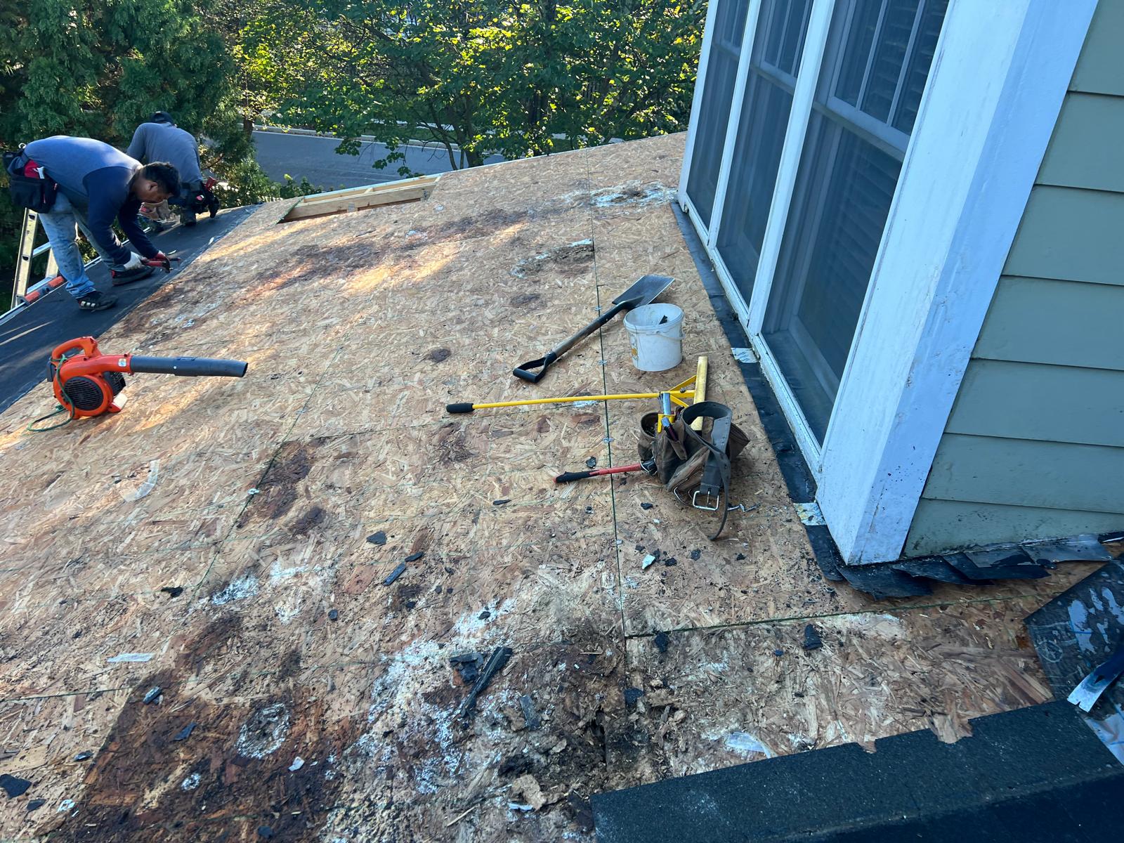 PHOTO-2024-10-19-13-13-46 3